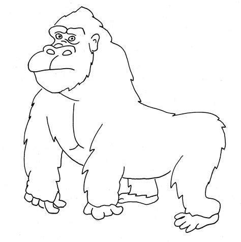 gorilla template