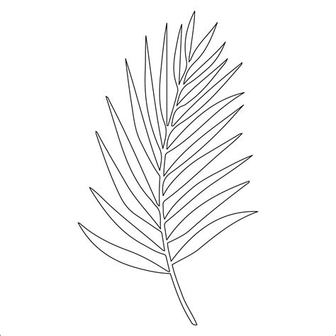 paper palm leaf template