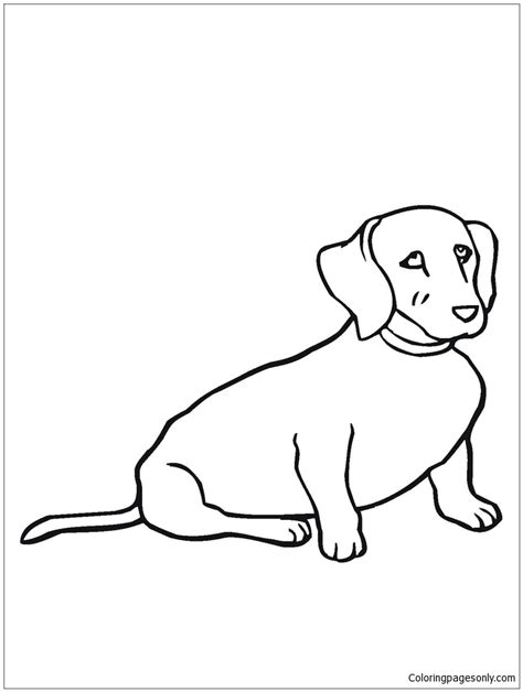 weiner dog coloring page  printable coloring pages