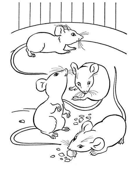 mice coloring pages coloring home