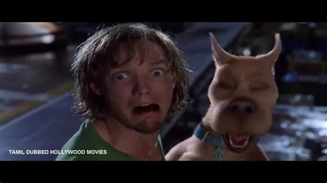 Scooby Doo 2002 1 Shaggy Scooby Doo Scooby Doo Movie Scooby Doo