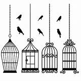 Cage Bird Coloring Pages Special Color sketch template