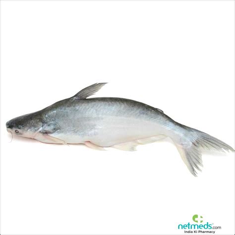 basa fish fillet nutrition facts besto blog