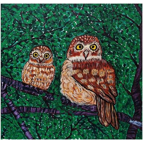 cute owls painting cute owl painting   paint owls owl acrylic