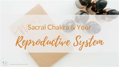 sacral chakra and your reproductive system verbena with susan heidi filardo