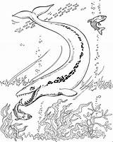 Ausmalbilder Wasser Unterwasserwelt Malvorlage Pflanzen Frisch Unterwasser Pescados Genial Okanaganchild Das Kinder Books Kindergarten sketch template