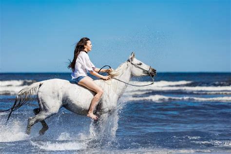 horse riding photo shoot ideas  equestrians