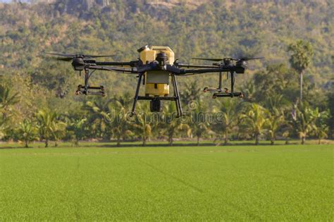agriculture drone flying  spraying fertilizer  pesticide  farmlandhigh technology