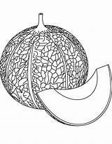 Melon Coloring Pages Cantaloupe Template Sketch sketch template