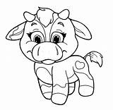 Cow Vacas Cows Animal Riscos Graciosos Kidsplaycolor sketch template