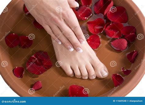 foot bath stock photo image  barefoot fresh aromatherapy
