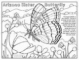 Coloring Arizona Sister Sonoran sketch template
