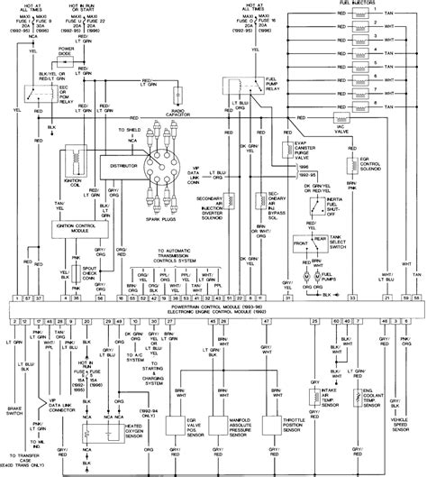 diagram  ford  ignition wire diagram mydiagramonline