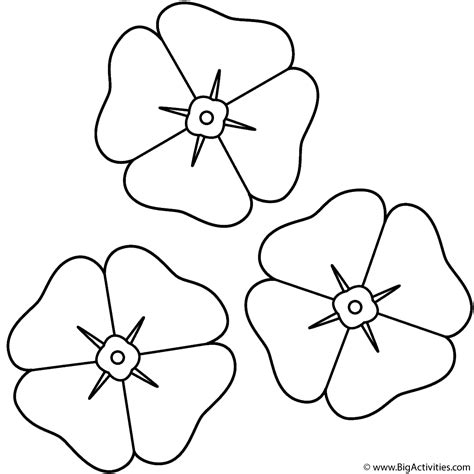 poppies coloring page anzac day