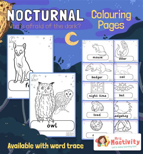 nocturnal animals colouring pages ks nocturnal animals resources