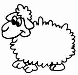Sheep Coloring Cute Funny Little Coloringsky sketch template