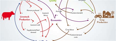 causal loop diagram     good  marketlinks