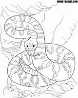 Coloring Pages Rattlesnake Viper Desert Snake Dangerous Yuckles Color Snakes Cool Colouring Animals Printable Getcolorings Getdrawings Rattlesnakes Comments Scene sketch template
