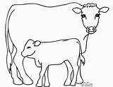 Cow Coloring Pages Dairy Calf Angus Kids Printable Drawing Cartoon Popular Coloringhome Getdrawings Comments sketch template