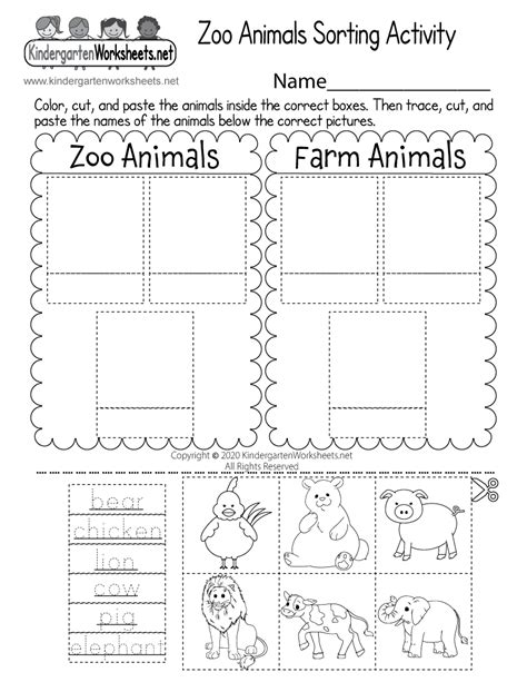 printable zoo animals sorting activity worksheet