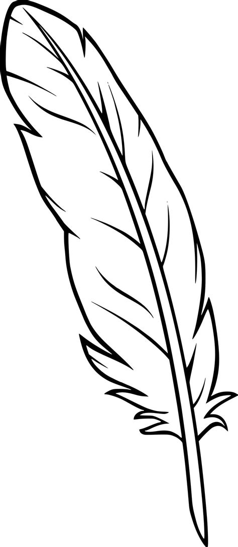 inspirant de coloriage plume  feather template feather drawing flower templates