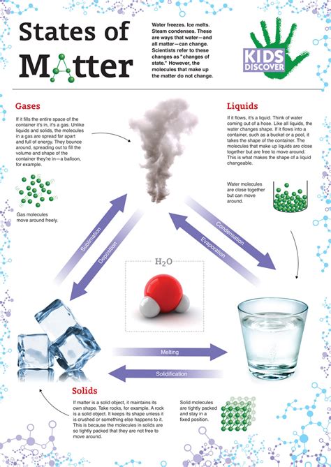 states  matter infographic collectedny