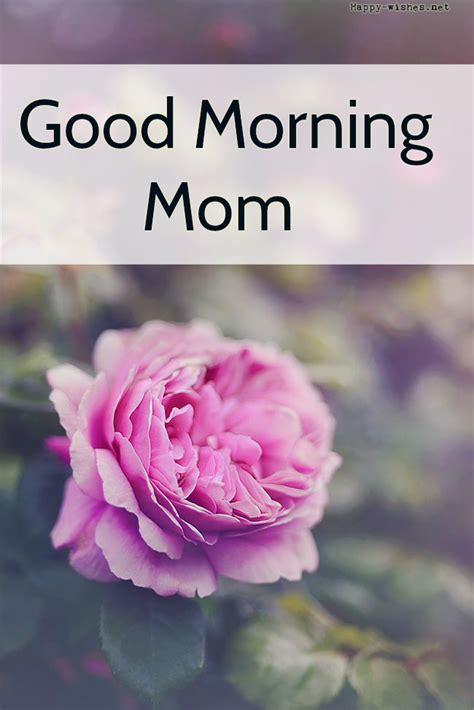 Mom Morning – Telegraph