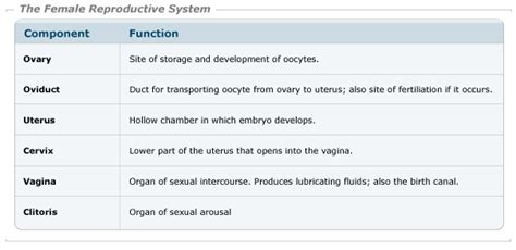 progesterone pmg biology