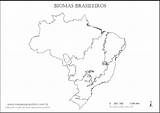 Biomas Brasileiros Colorir Mapas Imprimir Bioma Contorno Brasileiro Geografia Regiões Capitais Aprendendo Desvendando sketch template
