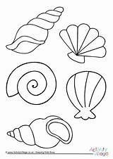 Seashell Shells Sheets Activityvillage Seashells sketch template