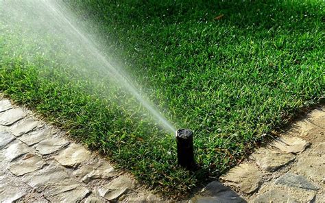 water wise tip check  sprinklers garden irrigation system garden irrigation lawn irrigation