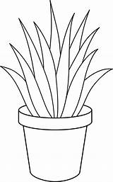Plants Plant Aloe Vera Line Pot Potted Clipart Clip Drawing Cliparts Indoor Coloring Drawings Flower Plantas Pages Clipground Para Sweetclipart sketch template