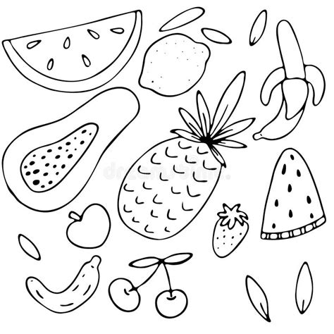 set fruits coloring stock illustrations  set fruits coloring stock