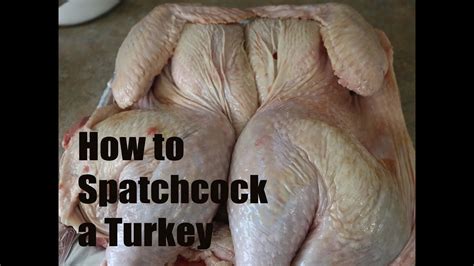 how to spatchcock turkey cutting a turkey for turducken youtube