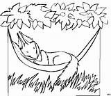 Haengematte Eichhoernchen Tiere Malvorlage Ausmalbilder Malvorlagen sketch template