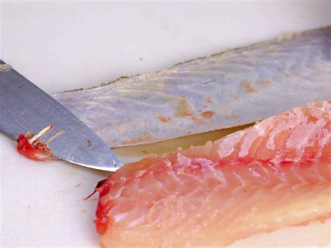 ways  fillet  fish wikihow