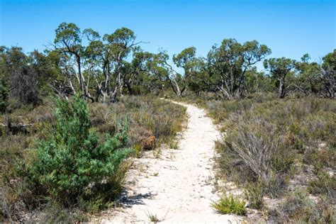little desert national park in victoria australië stock foto image