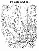 Rabbit Peter Coloring Pages Colouring Potter Beatrix Printable Sheets Kids Print Printables Color Easter Friends Book Gardening Sheet Books Bunny sketch template