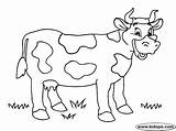 Vaca Cow Manchas Bauernhof Vacas Fattoria Kuh Hewan Binatang Mewarnai Buku sketch template