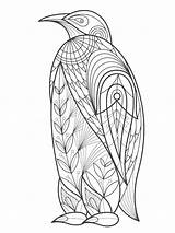 Zentangle Penguin Coloring4free Mycoloring sketch template