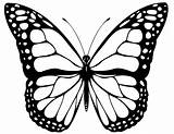 Kupu Schmetterling Ausmalen Schmetterlinge Bilder Vorlagen Mewarnai Mandalas Genial Schmetterlingen Tercantik Frisch Erwachsene Lukisan Kumpulan Okanaganchild sketch template