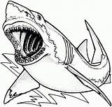 Jaws Coloring Pages Clipartmag Clipart sketch template