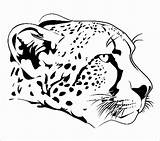 Cheetah Coloring Pages Face Head Drawing Realistic Printable Cub Easy Cheetahs Drawings Coloringbay Getdrawings Print Animal Choose Board sketch template