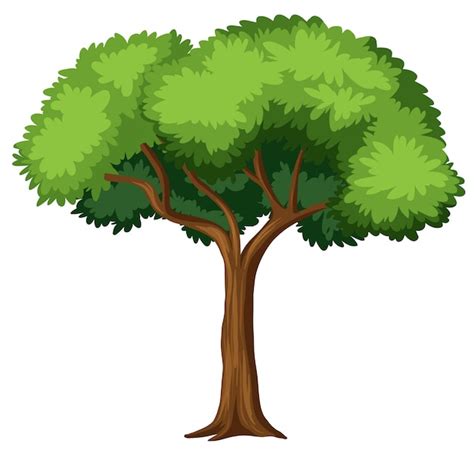 vector isolated tree  white background