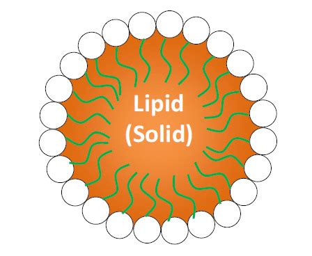 structure  solid lipid nanoparticle sln  scientific diagram