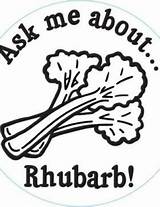 Rhubarb Handstamp Foodhero sketch template