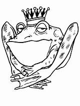 Coloring Pages Frog Frogs Princess Animals Cartoon Printable Clipart Prince Cliparts Snow King Clip Library Rana Disegni Popular Ariel Plus sketch template