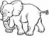 Elephant Coloring Baby Pages Mother Super Kids Cartoon Sheets Animal sketch template