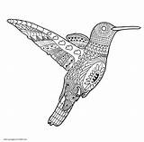 Coloring Pages Birds Adults Printable Bird Adult Print Look Other sketch template