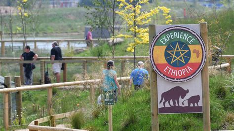 faces greet visitors  yorkshire wildlife park reopens itv news calendar